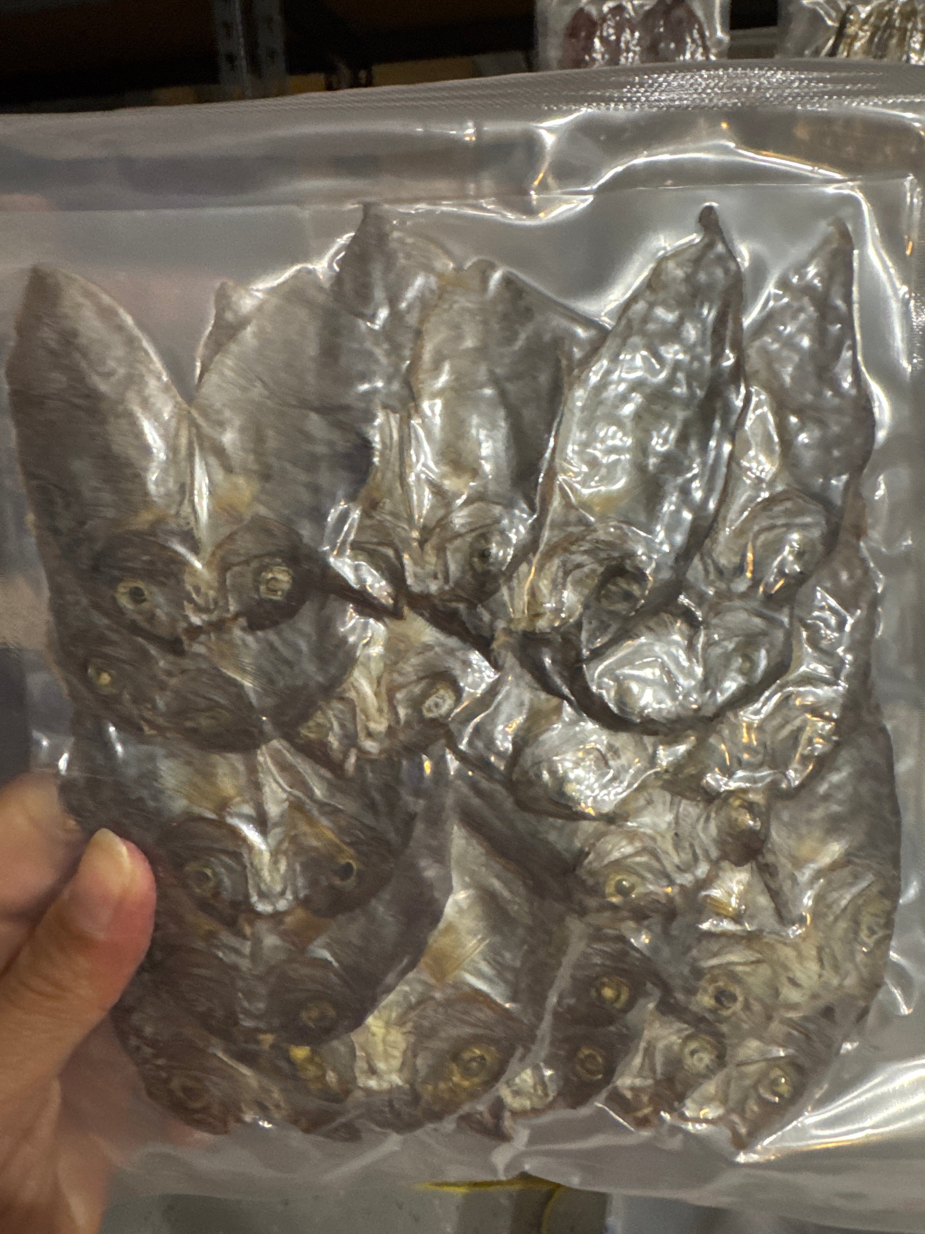 HDF Unsalted Boneless
Danggit 100g