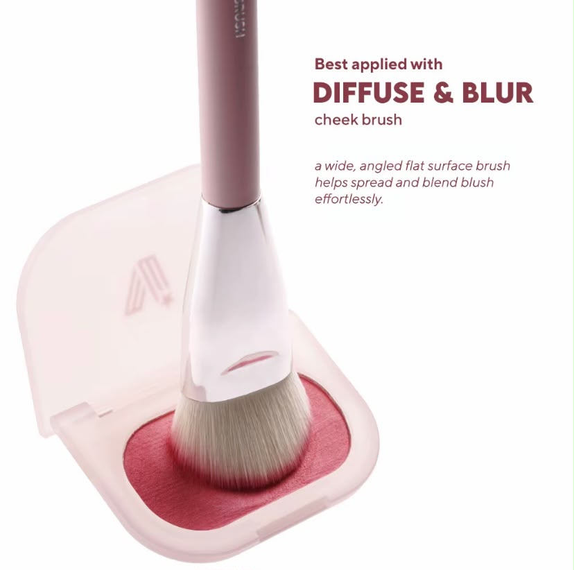 Vice Ganda Diffuse & Blur Cheek Brush                    (Mochi Mousse)