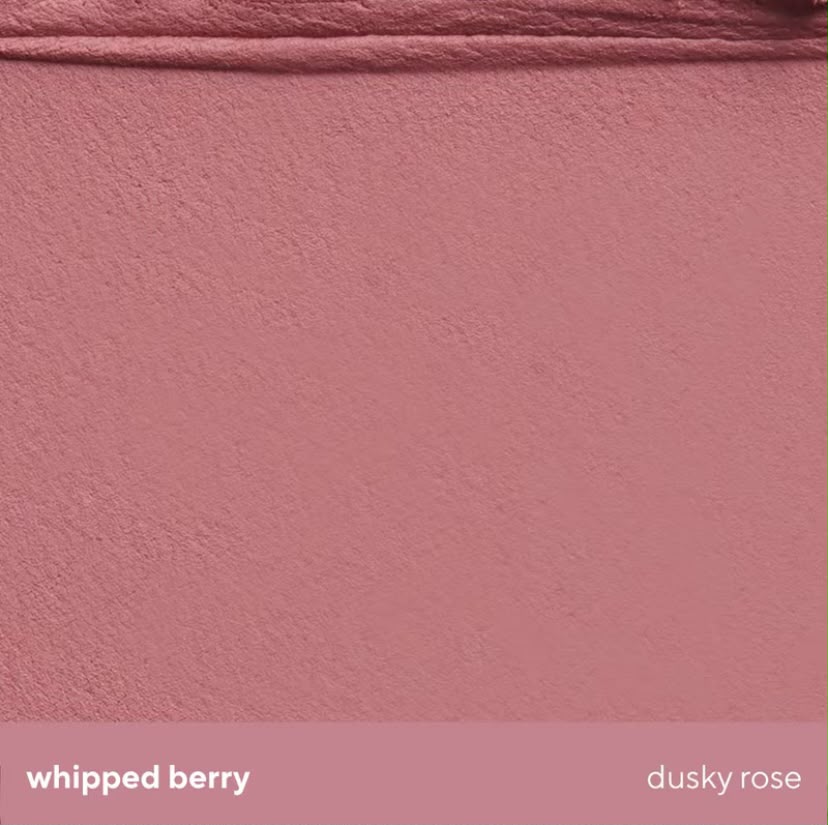 Vice Ganda Diffuse & Blur Cheek Brush              (WHIPPED BERRY)