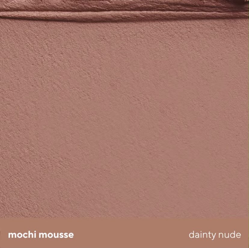 Vice Ganda Diffuse & Blur Cheek Brush                    (Mochi Mousse)